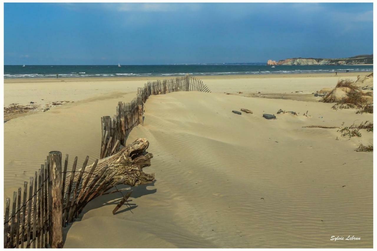 Iberia 1 Appartement T3 A 200 M De La Plage Avec Parking Prive アンダイエ エクステリア 写真